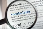 Consolidation du vocabulaire en français
